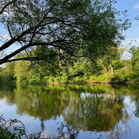 Geltsdale Garden Ground Floor In Close To Carlisle & Ullswater Nyaraló